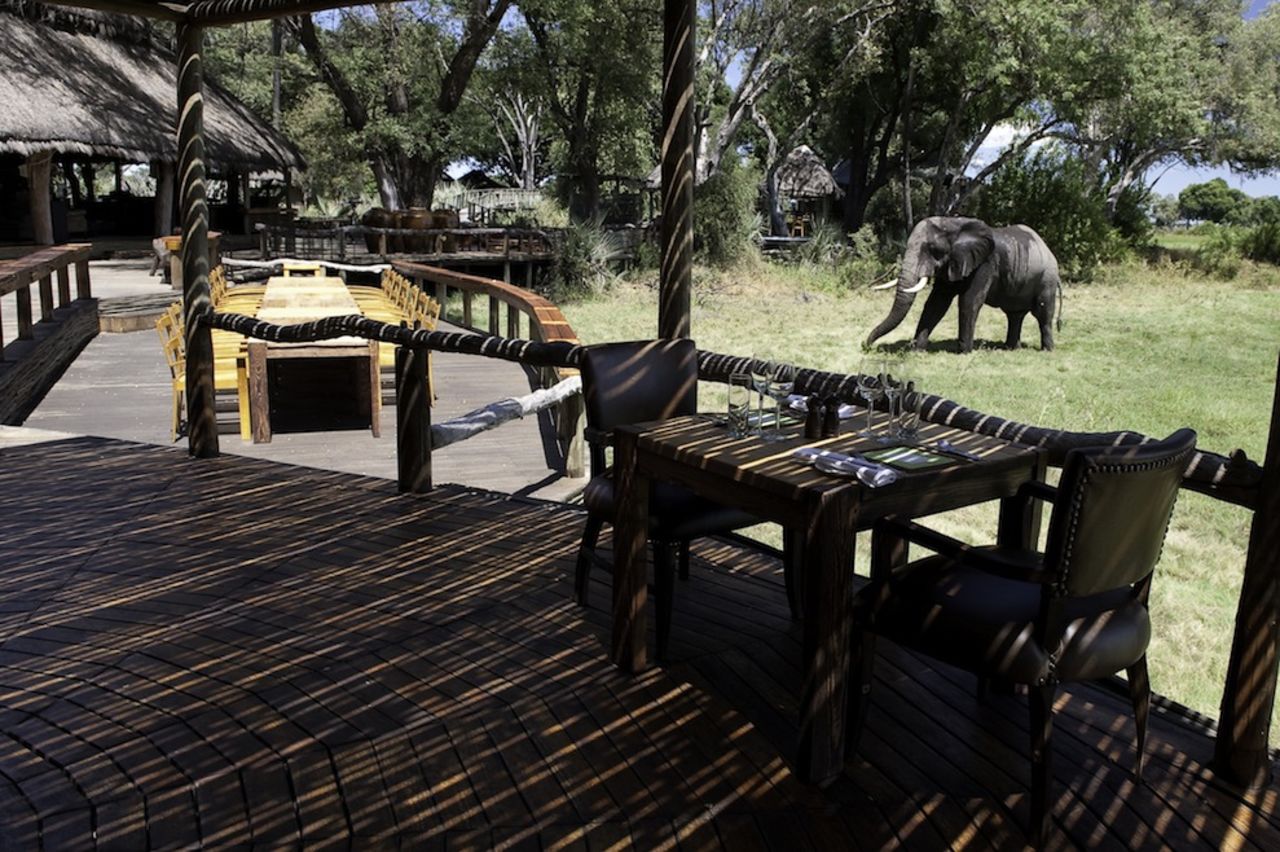 "Mombo is not only the flagship of Wilderness Safaris, but it has become arguably the most must-visit safari lodge in Africa -- that's not because it is overly luxurious but because the game viewing there is so exceptional. It is also where, progressively, this  safari company rolls out its newest and best environmental practices and technologies."