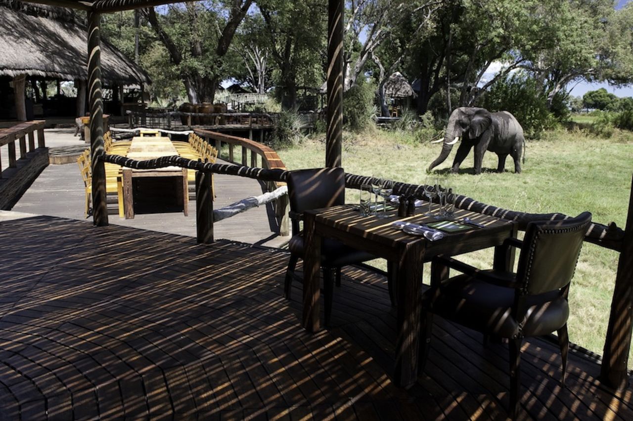 "Mombo is not only the flagship of Wilderness Safaris, but it has become arguably the most must-visit safari lodge in Africa -- that's not because it is overly luxurious but because the game viewing there is so exceptional. It is also where, progressively, this safari company rolls out its newest and best environmental practices and technologies."