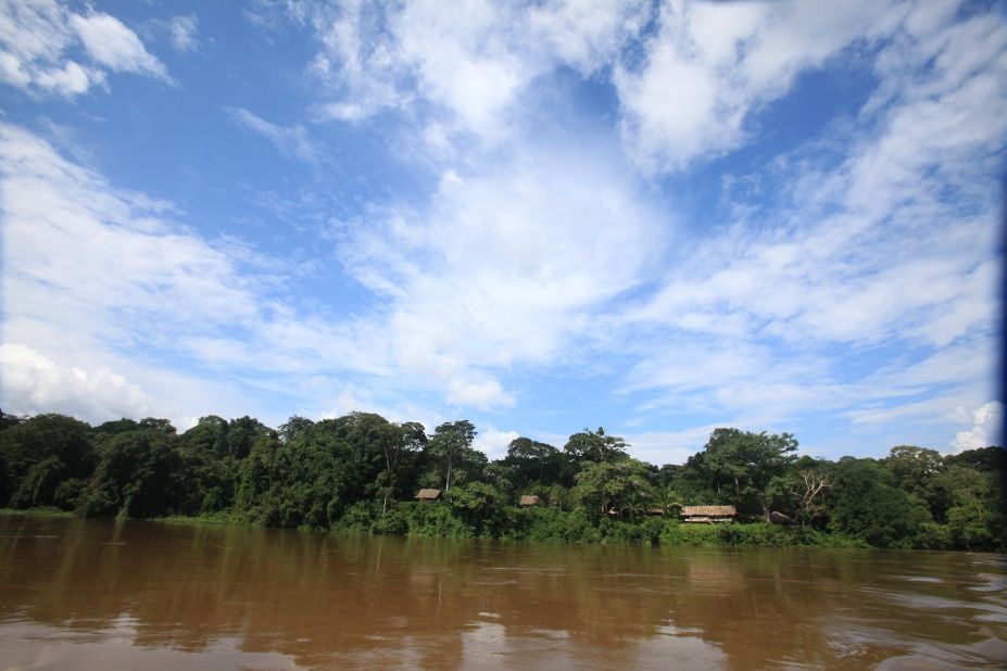 "Professional birder Rob Cassidy is a surprisingly mild and amiable host in the jungle. Merely to keep a lodge going here is remarkable, the lodge helps support a vast rainforest reserve as well as the local Ba'aka (Pygmy) communities. The experience is like watching a scintillating all-day wildlife movie."