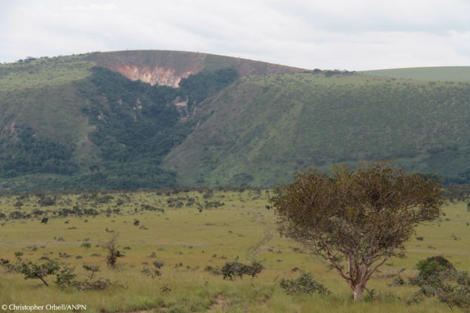 The Bateke Plateau National Park in Gabon was formed in 2002, and has since attracted animals that have otherwise been extinct -- or nearly -- for decades.