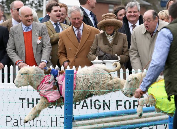 Prince Charles and Camilla, Duchess of Cornwall enjoyed the lamb racing at Ascot.