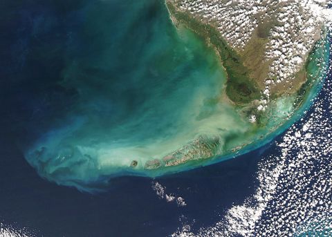 The next step is underwater: plankton, seen here from space, could be a good bio-indicator for earthquakes.