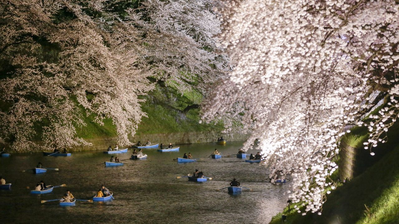 People rowing boats in Tokyo enjoy a night view of cherry blossom trees on Monday, March 30.