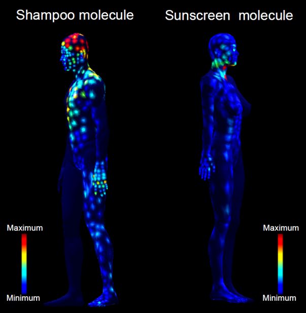 Health and beauty products, such as sunscreen and shampoo, were searched for and mapped to identify how their use may spread across the body. As expected, larger traces of shampoo were found on the head but also located around the body, three days after being used.