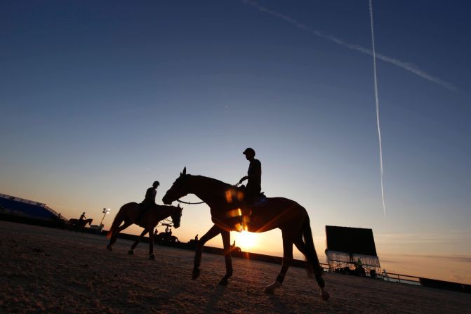 Every year, some of the world's best showjumpers spend a weekend competing in an unusual location: Miami Beach.