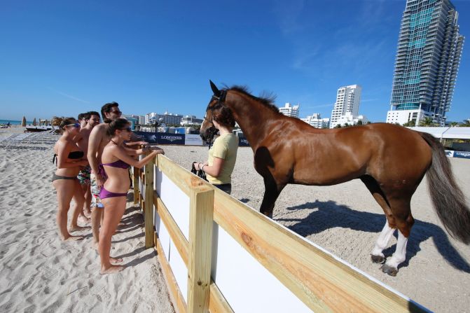 People hitting the beach have an unexpected chance to meet some of the world's top showjumping horses.