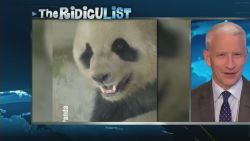 ac sot ridiculist panda sex_00014327.jpg