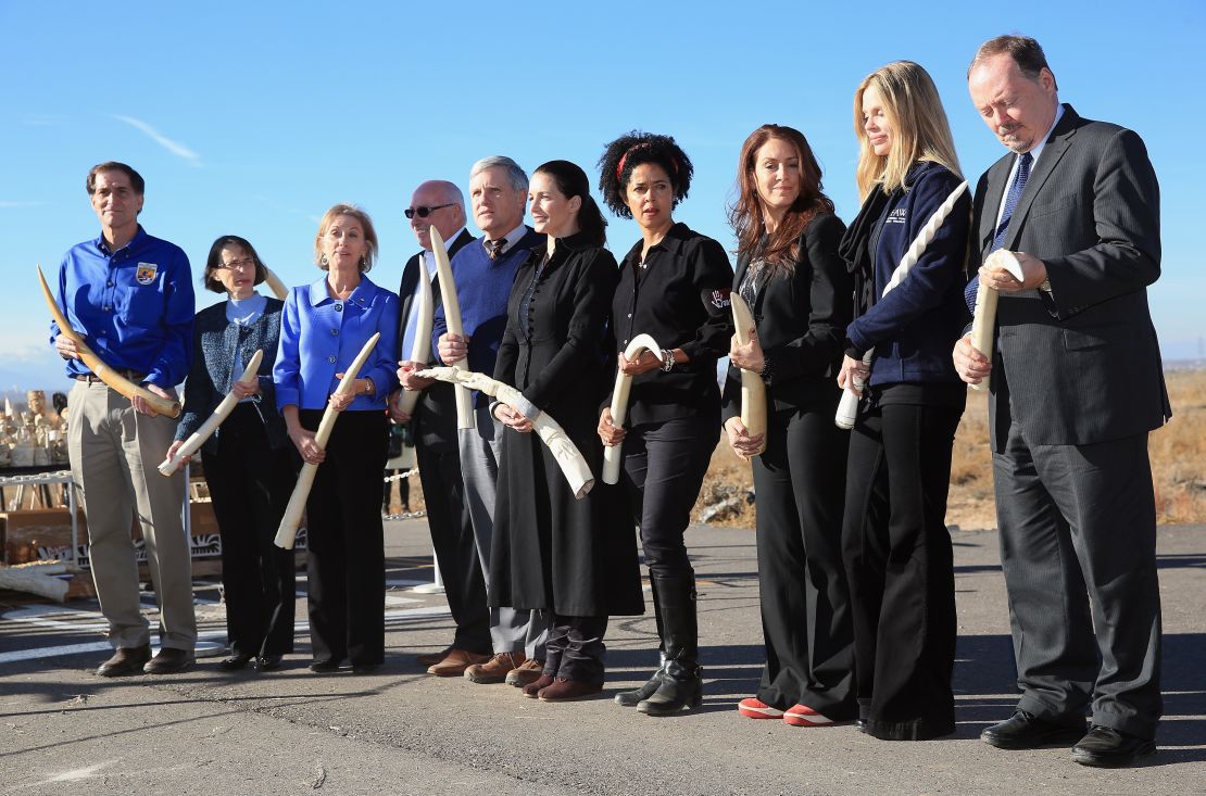 Officials, activists and conservationists, including Paula Kahumbu, before the destruction of six tons of confiscated ivory during the U.S. Ivory Crush in Commerce City, Colorado, on November 14, 2013. 
