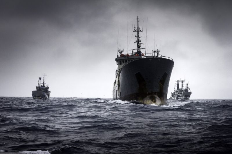 110 day ocean hunt ends with Sea Shepherd rescuing alleged