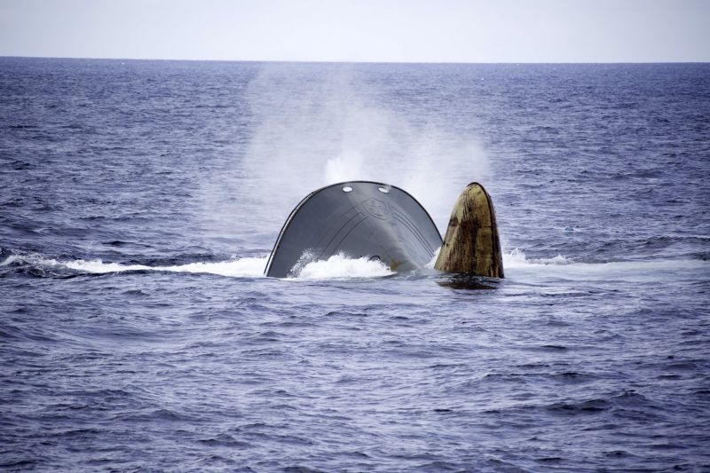 Hunt Ends With Sea Shepherd Rescuing Alleged Poachers | CNN