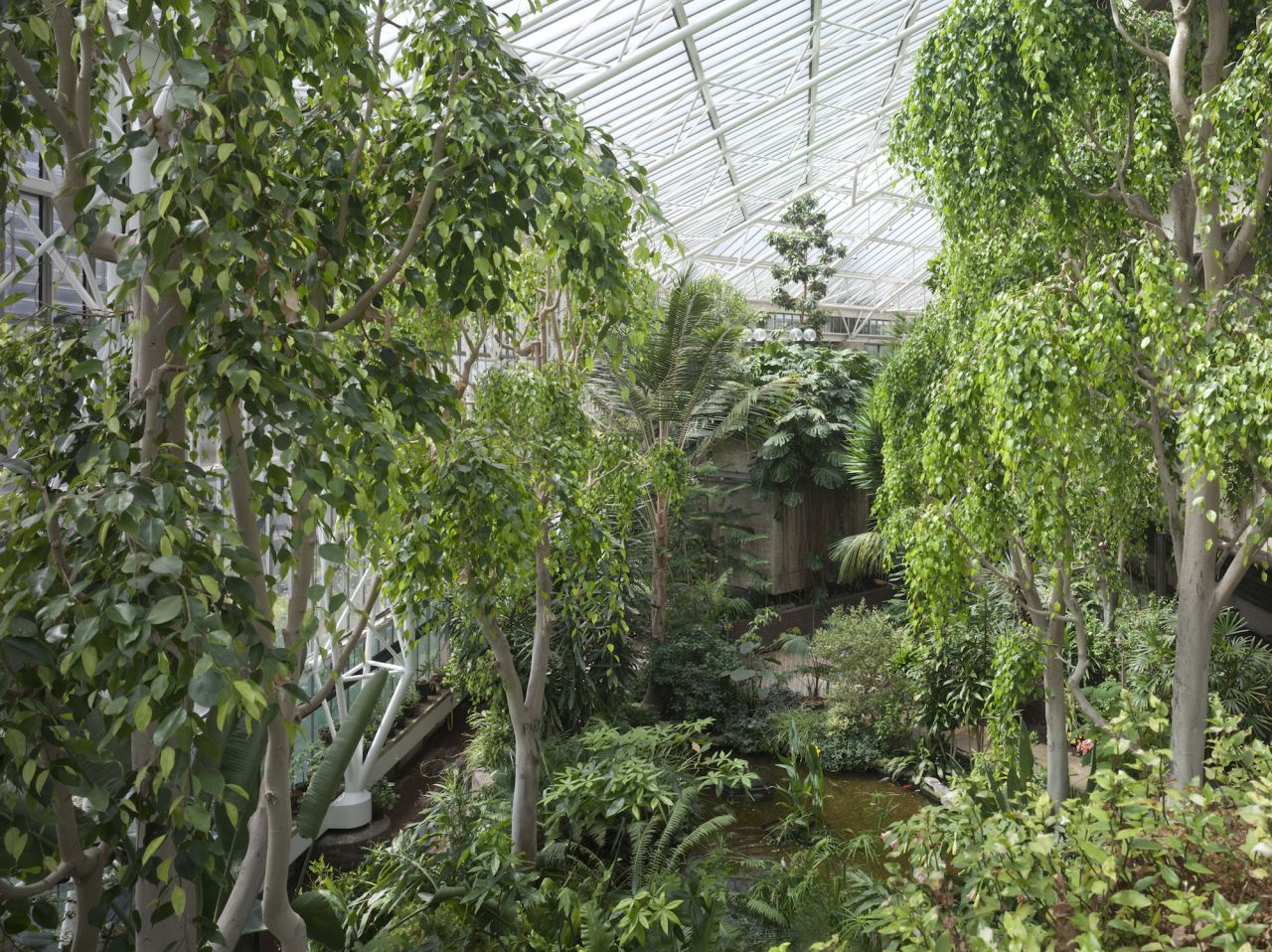 Split over two levels, this is the second largest glasshouse in London, after Kew Gardens, and is a sanctuary to more than 2,000 varieties of tropical plants.