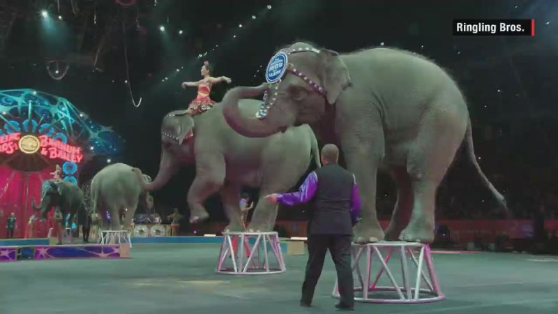 Retired elephant orders final