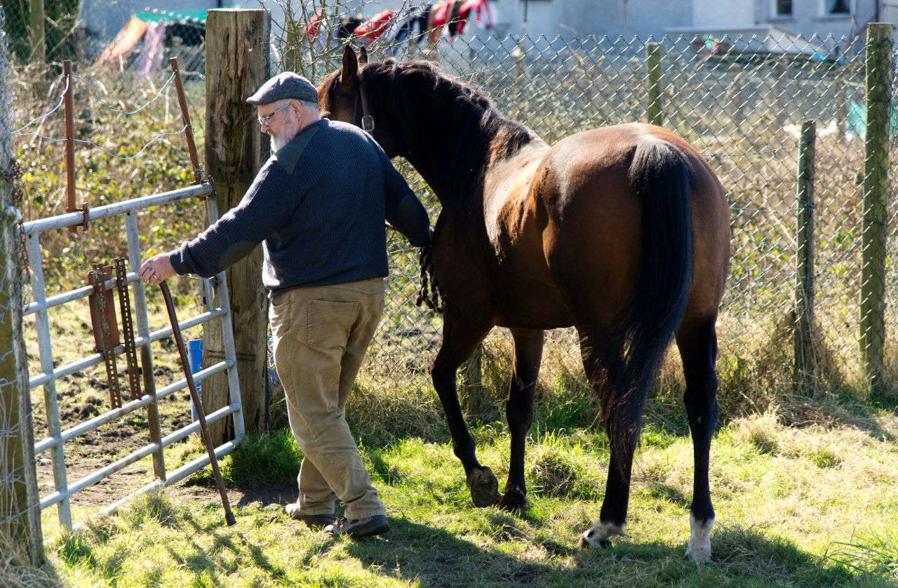 Dream Alliance was bred and raised on an allotment in a run-down Welsh mining community by Brian Vokes (pictured) and his wife Jan. "We bred a horse on a slag heap," explains Brian.