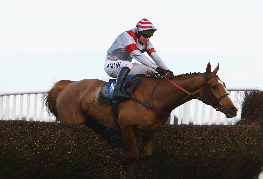 Dream Alliance's greatest triumph came in the 2009 Welsh National at Chepstow. It was a notable win as less than two years earlier Dream had pioneering stem-cell treatment to mend a snapped tendon in his leg.