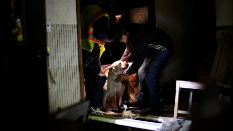 A dog is rescued from a destroyed home in Fairdale on April 9.