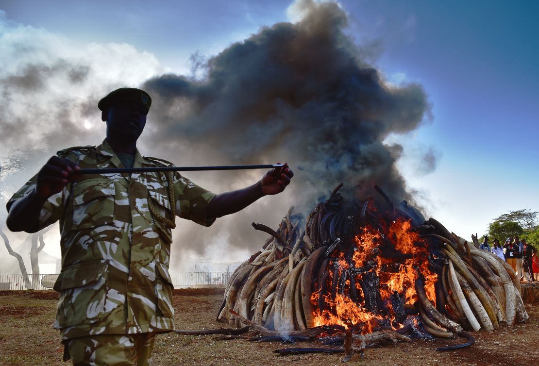 Kenyan officers burn 15 tons of ivory on March 3.