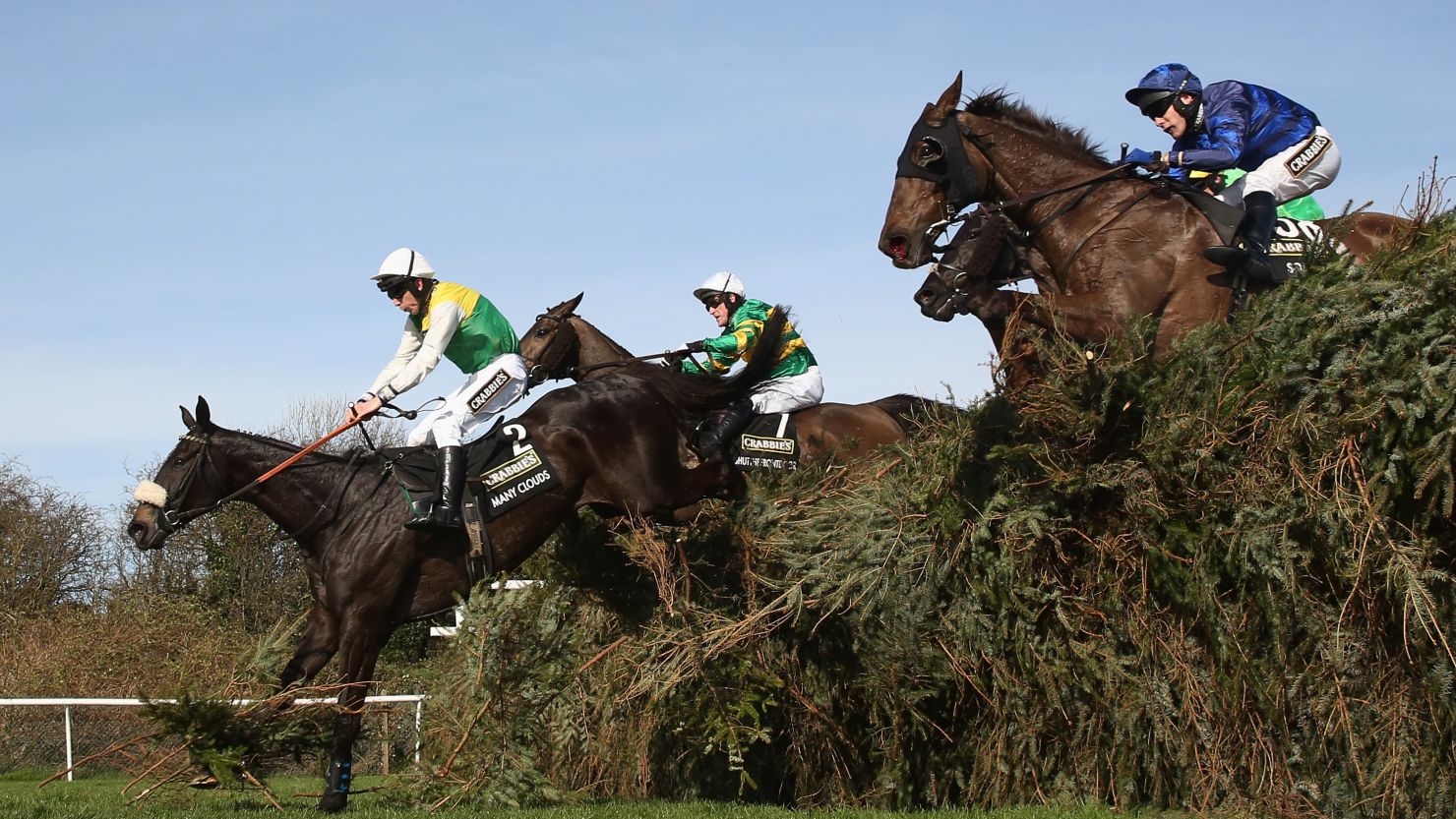 25-1 shot Many Clouds won the Grand National on Saturday.