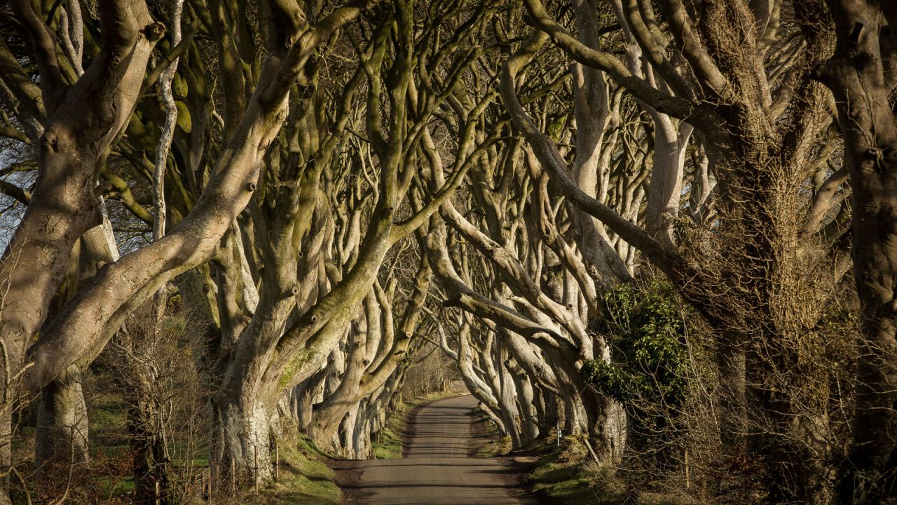 <strong>Dark Hedges (Antrim): </strong>You might recognize this avenue of 18th-century beech trees from the second season of "Game of Thrones," when Arya Stark flees King's Landing disguised as a boy. The village of Stranocum is now a regular stop on Northern Ireland's "Game of Thrones" location tours. 
