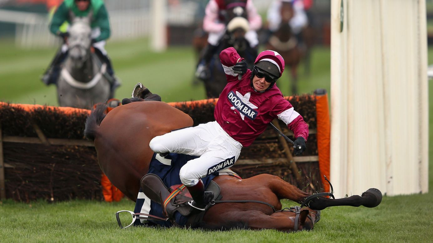 Richard Johnson falls off Alpha Des Obeaux while competing in a hurdle race Friday, April 10, in Liverpool, England.