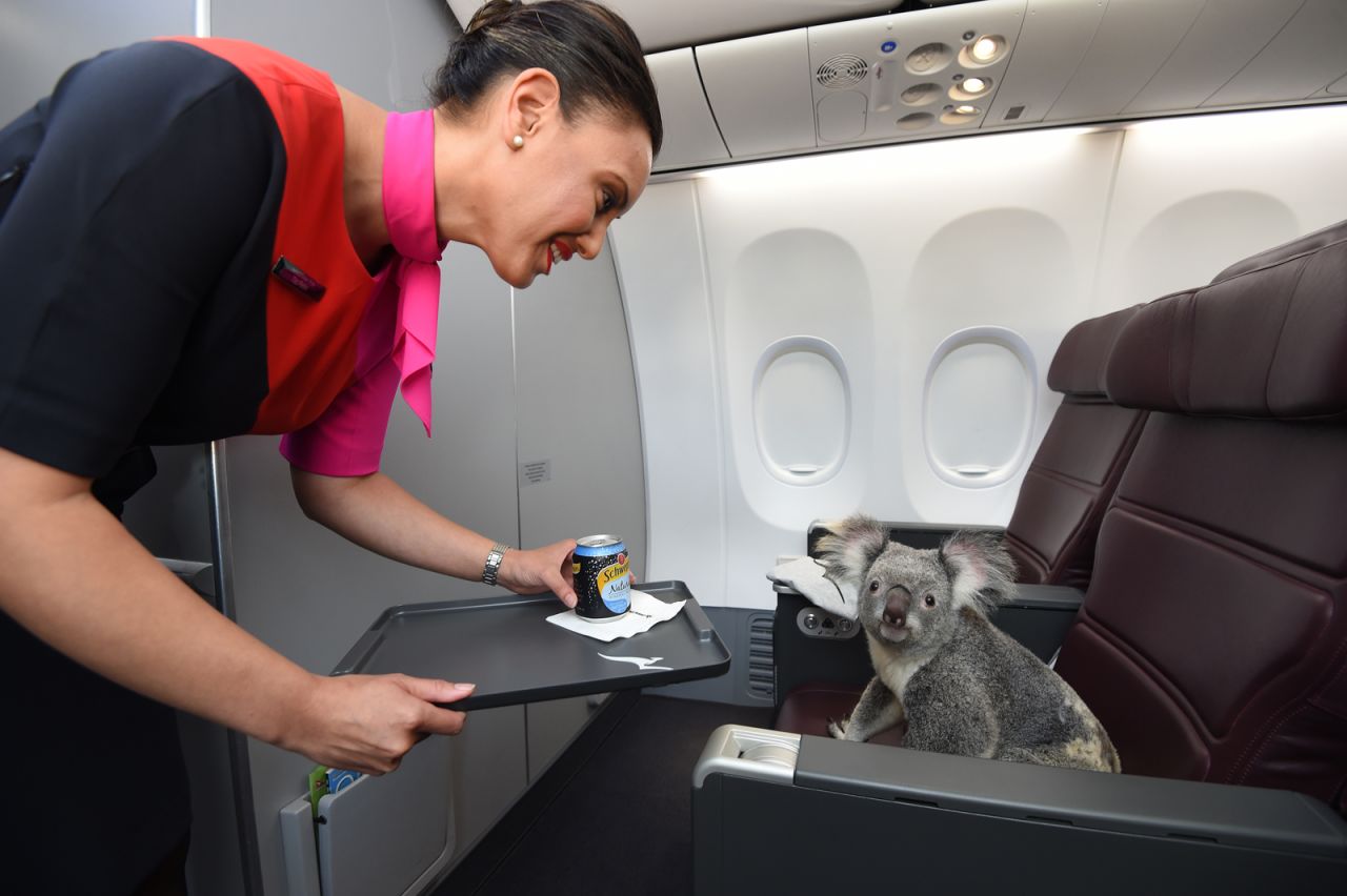 <strong>World's best airlines #8: </strong>Australia's Qantas Airways -- which has a long-running advertising campaign featuring a live koala -- was in eight place, and was also named Best Airline in Australia. 