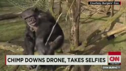 erin pkg moos chimp takes down drone_00000712.jpg