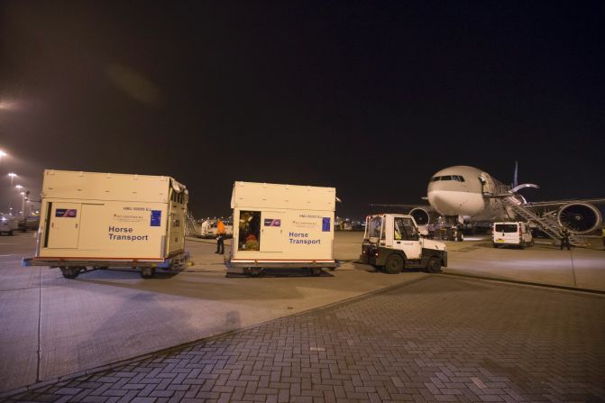 The flight's 'passengers' wait in line to board their B777. In total, 40 horses representing 17 nations will be on the flight.