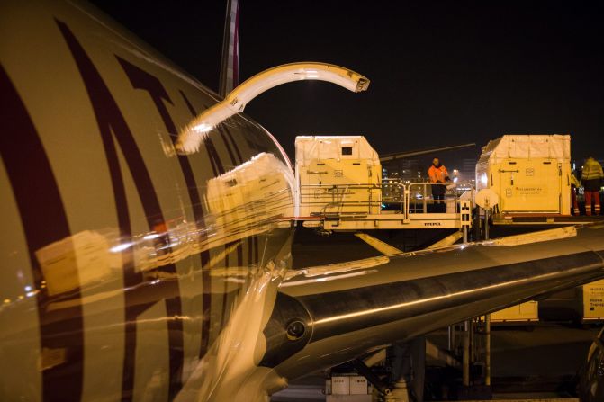 Inside each of these boxes -- or stalls -- there is a multi-million-dollar horse, preparing to fly from Amsterdam to Las Vegas. Here's how it works.