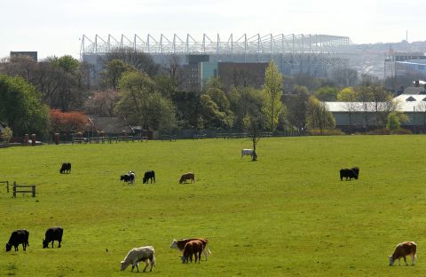 The oft-used phrase "football is a religion" really does apply to Newcastle, according to Forbes. It is a one-club city, and United's home ground St James' Park dominates the skyline. Forbes says: "It's often said we have three cathedrals in the city: the Anglican, the Catholic Cathedral and St James' Park."