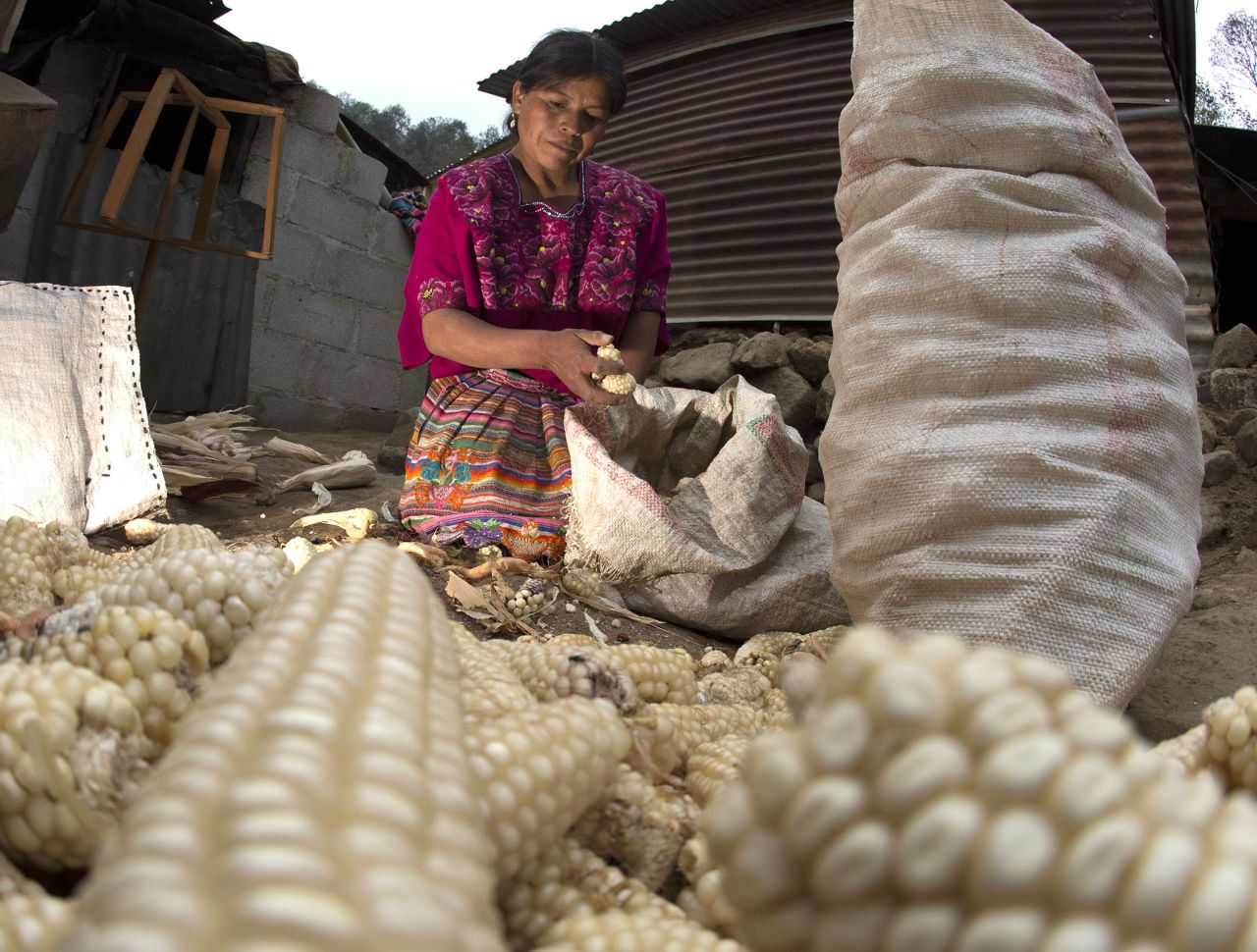 Corn and beans are crucial food staples in Guatemala. They can ward off hunger but don't provide the full range of nutrients needed for a healthy life.