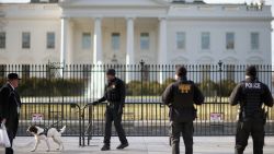 A U.S. Secret Service K-9 team works along the second, temporary fence on the north side of the White House March 18, 2015 in Washington, D.C.