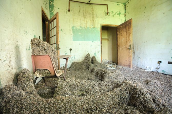 Charges of abuse and neglect plagued the Creedmoor Psychiatric Center in the 1970s in Queens. Today, the fourth floor of its Building 25 is covered with decades' worth of pigeon droppings.