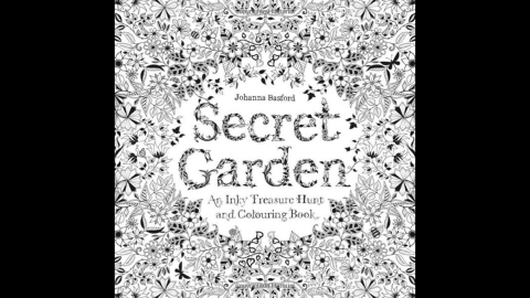Coloring book titles like Johanna Basford's "<a href="http://www.amazon.co.uk/Secret-Garden-Inky-Treasure-Colouring/dp/1780671067/ref=pd_sim_b_6?ie=UTF8&refRID=0MWB2DBKX77SXYXPQMX8" target="_blank" target="_blank">Secret Garden</a>" are selling well in the adult market. Basford's first book has topped the Amazon.com bestselling books list. Click through for more coloring books suitable for adults.
