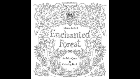 Illustrator Johanna Basford's second book, "<a href="http://www.amazon.co.uk/Enchanted-Forest-Inky-Quest-Colouring/dp/1780674872/ref=pd_sim_b_1?ie=UTF8&refRID=1VVBHG6Z0VPHHZMCPC6J" target="_blank" target="_blank">Enchanted Forest</a>," also made the bestseller lists.