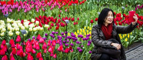 The<strong> Netherlands</strong>, the world's seventh-happiest country, delights visitors and residents alike with its tulips. Keukenhof, known as the Garden of Europe, is open through May 17. 