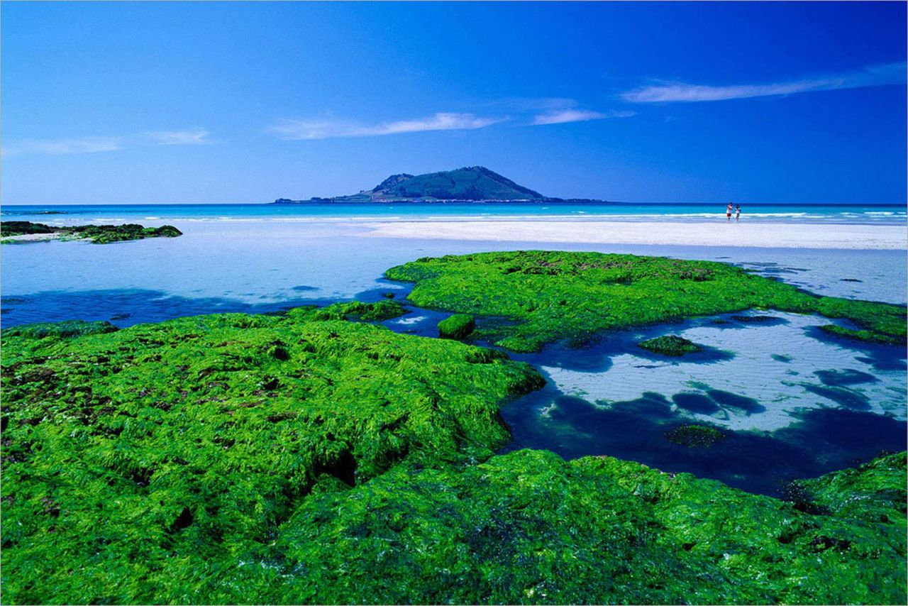 <strong>​Hyeupjae Beach: </strong>Ask a Korean travel writer which beach is the most beautiful in the country and probably 10 times out of 10, the response will be Hyeupjae Beach.