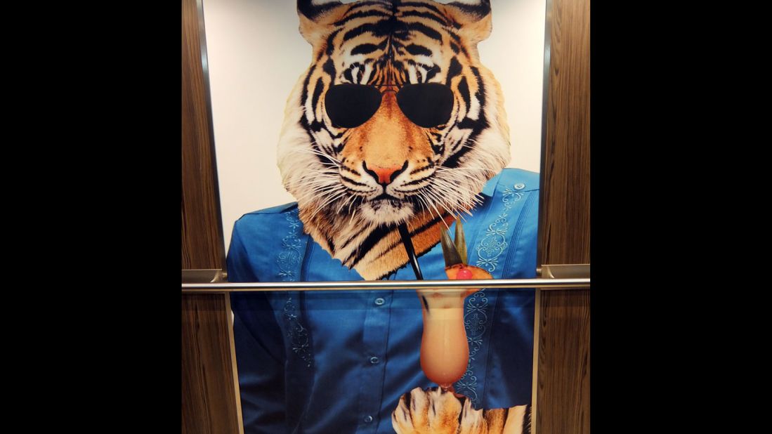 A tiger in a dress and sunglasses drinking a cocktail. Nope, you're still sober. It's the posters inside the elevators that have stopped making sense. 