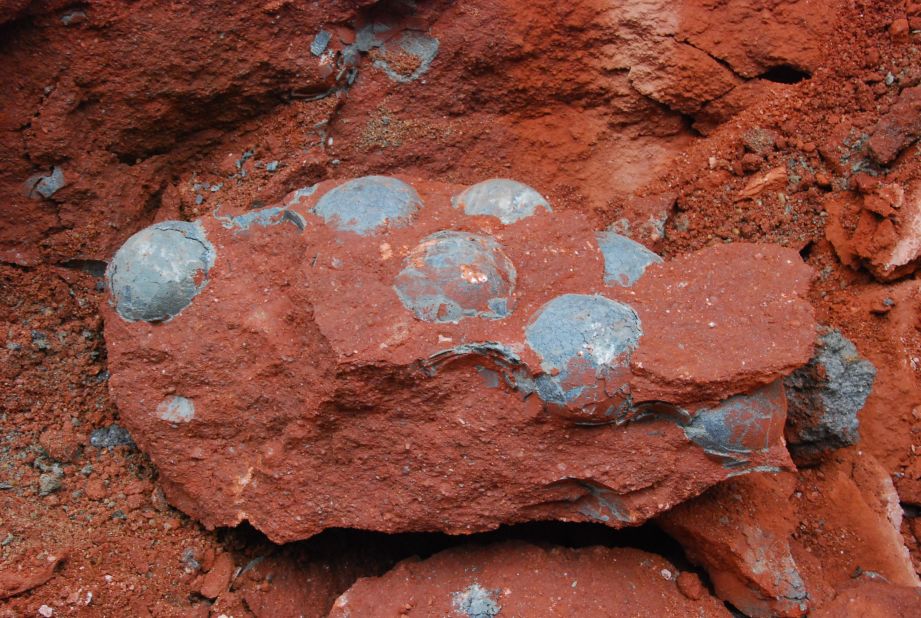 <a href="http://www.cnn.com/2015/04/21/asia/china-dinosaur-eggs-found/">Construction workers unearthed 43 fossilized dinosaur eggs </a>during road repair work in the city of Heyuan in the southern Chinese province of Guangdong on Sunday, April 19, officials said.