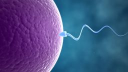02 Questions on Infertility