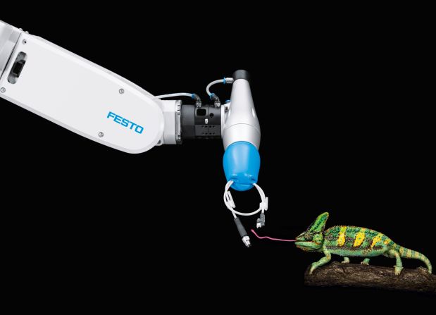 The chameleon-tongue robot -- a liquid-filled rubber gripping device which mimics the grasping abilities of the predatory lizard -- could be used to handle small objects, replacing the finesse of human motor abilities in the workplace.