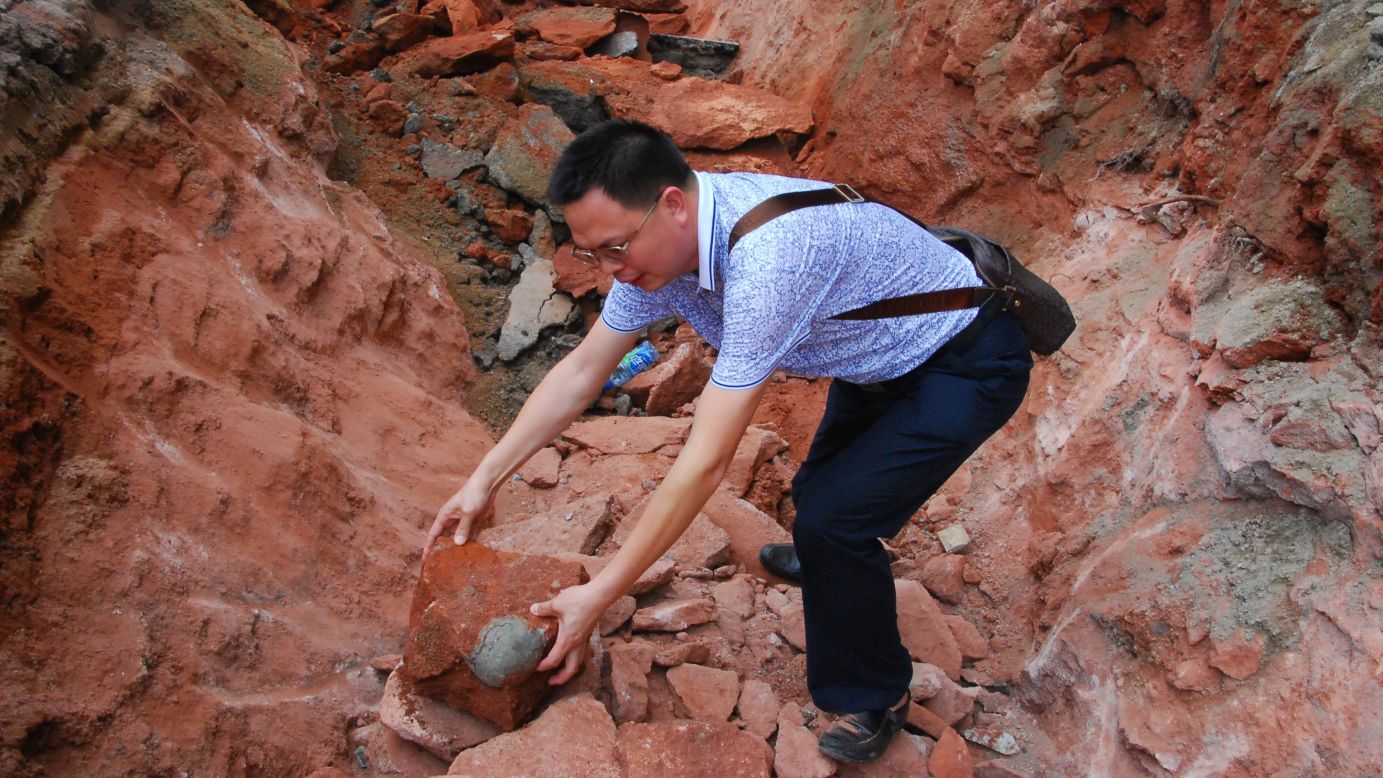 Construction workers <a href="http://www.cnn.com/2015/04/22/asia/gallery/dinosaur-eggs-china/index.html" target="_blank">unearthed 43 fossilized dinosaur eggs</a> during road repair work in Heyuan, China, on Sunday, April 19. Nineteen of the eggs are completely intact, a museum official said.