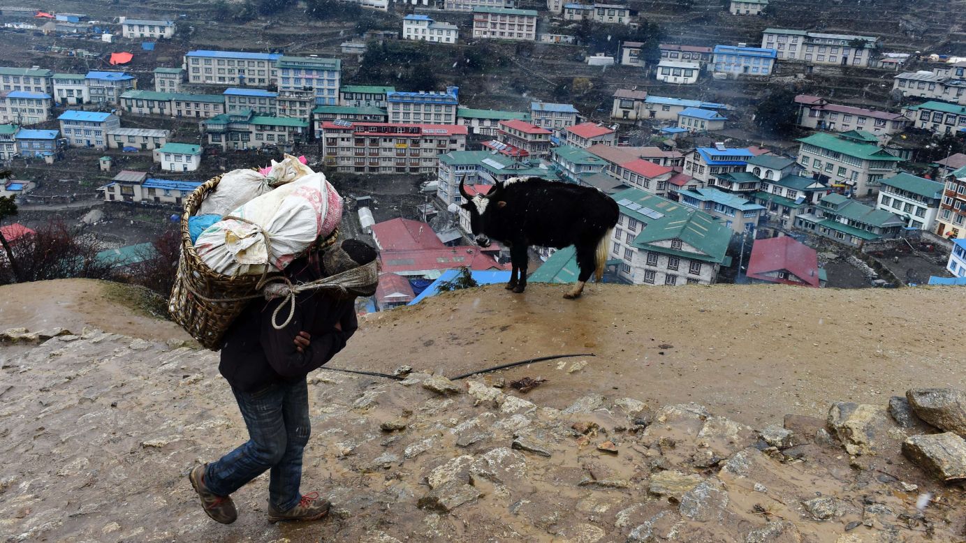 A porter carries a load of beef high above the Nepalese village of Namche Bazaar on Friday, April 17.