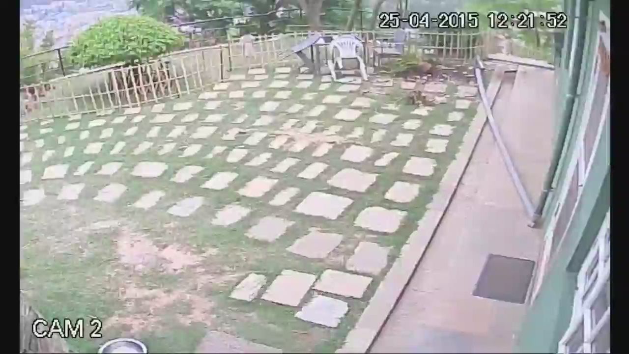 cnnee vo nepal surveillance video_00003922.jpg