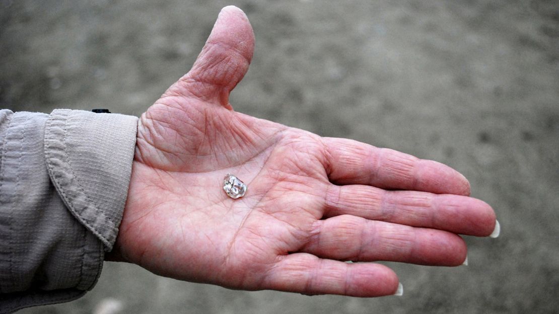 Susie Clark, of Evening Shade, Arkansas, holds the diamond she found last week in the palm of her hand.