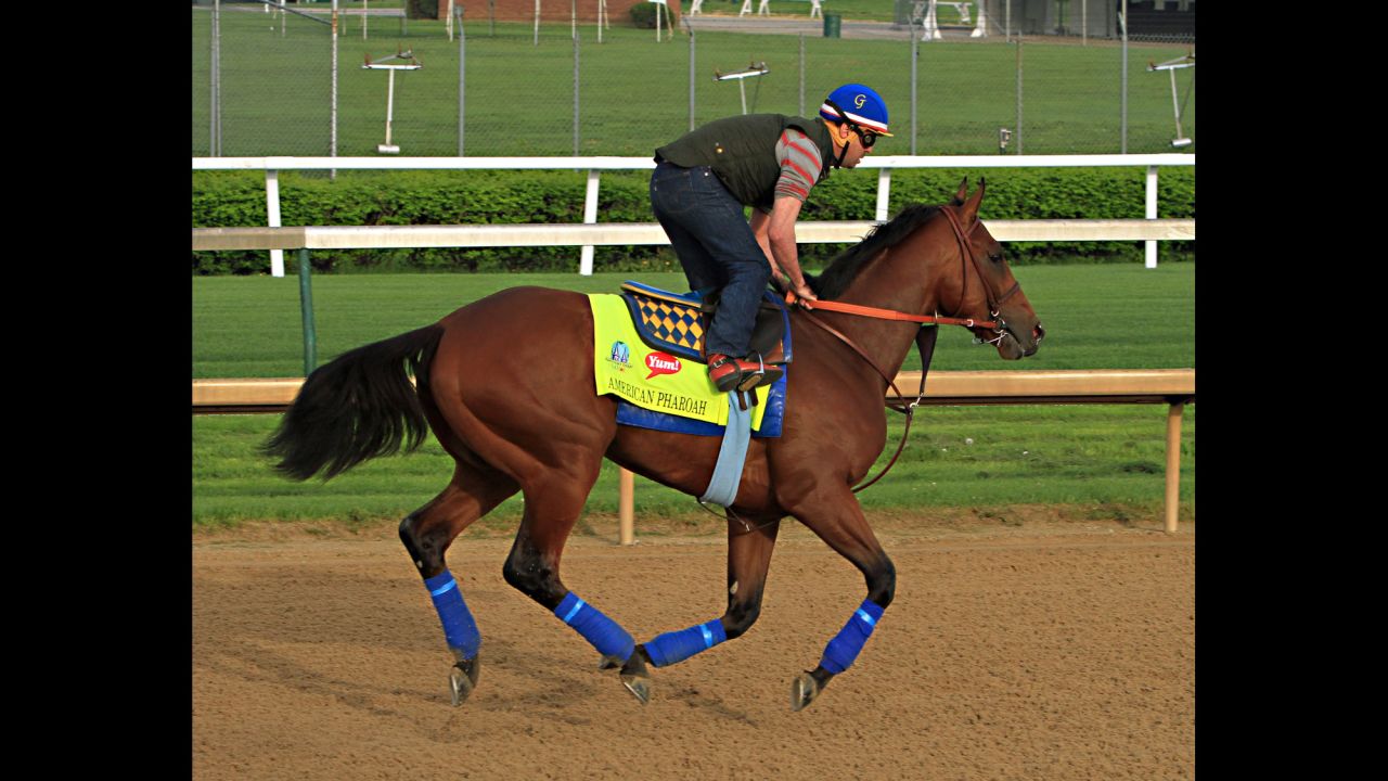 Kentucky Derby hopeful American Pharaoh has a run over the track at Churchill Downs in Louisville.