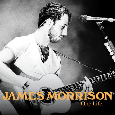 Brit Award-winner James Morrison chose McDonnell's concert photo to grace the front of his 2011 single "One Life"