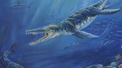 Kronosaurus - image courtesy of Lisa Wallace and Kronosaurus Korne