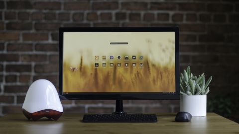 Dalio told CNN he got the idea to create a $169 computer while he was traveling and noticed that, while most homes did not have a desktop computer, they often had an HD screen.