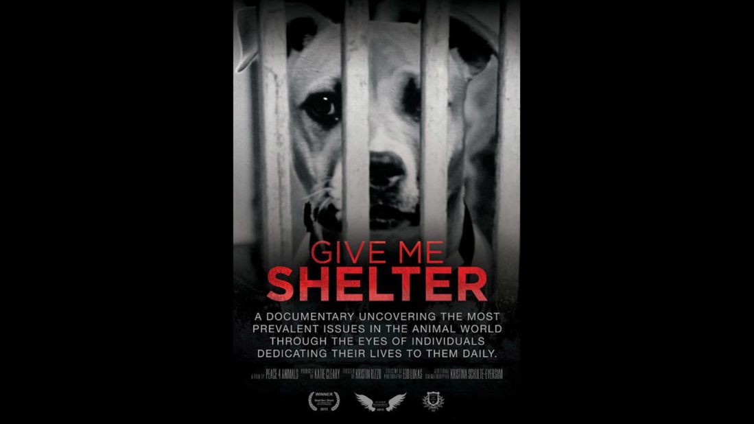 <strong>"Give Me Shelter" (2014):</strong> Animal rights issues and those who dedicate themselves to that fight are the focus of this documentary. <strong>(Netflix) </strong>