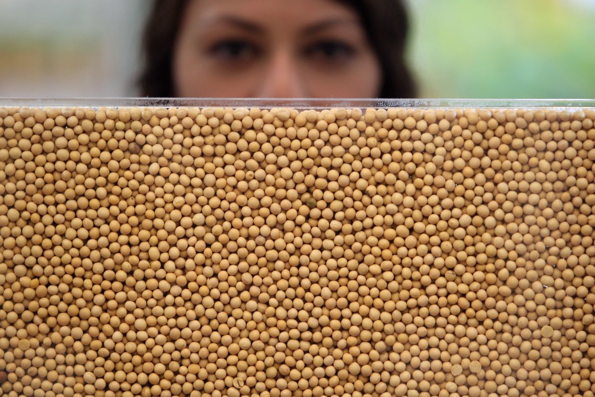 Feeding a food allergy to cure it CNN