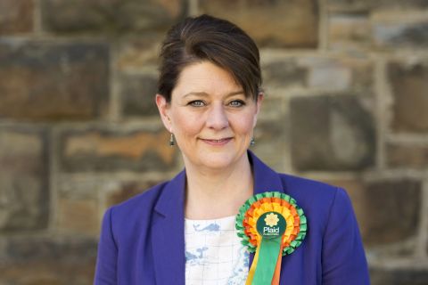 Leanne Wood is the leader of the Plaid Cymru Party, which is a political party in Wales that advocates for independence within the European Union.